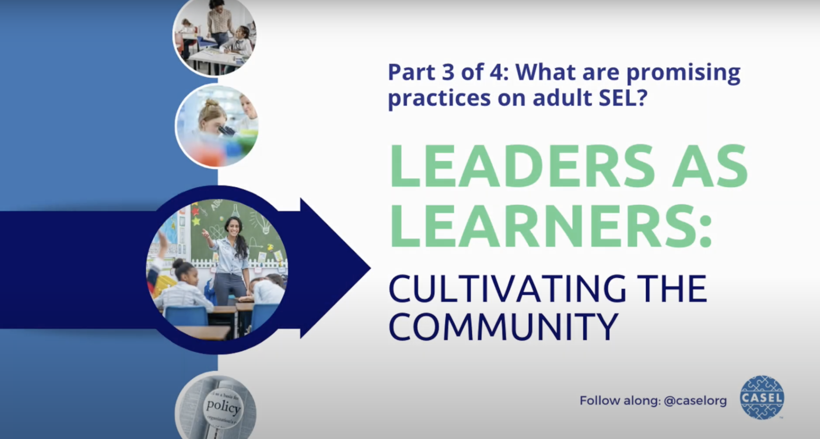 Promising Practices for Adult SEL: Four-Part Webinar Series – Part 3 Recap
