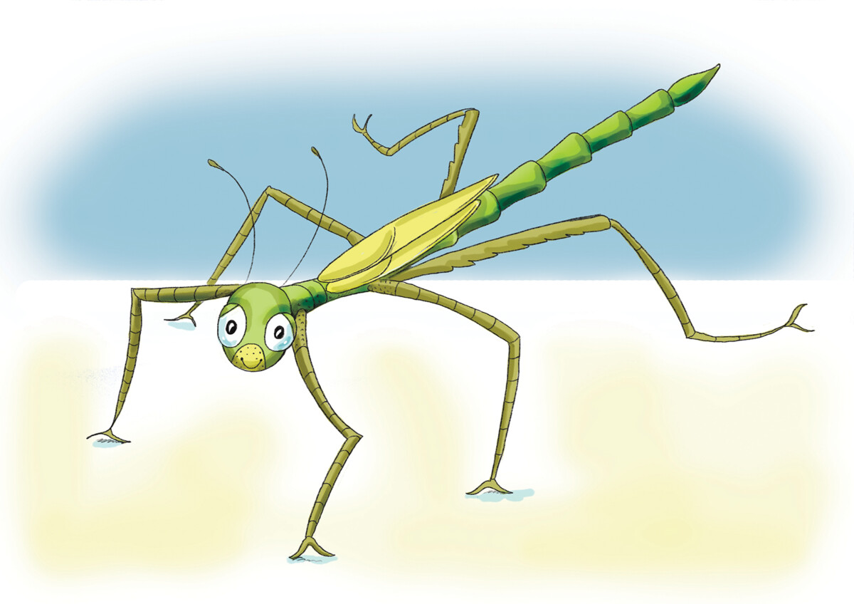 Image of Zippy the cricket from the curriculum